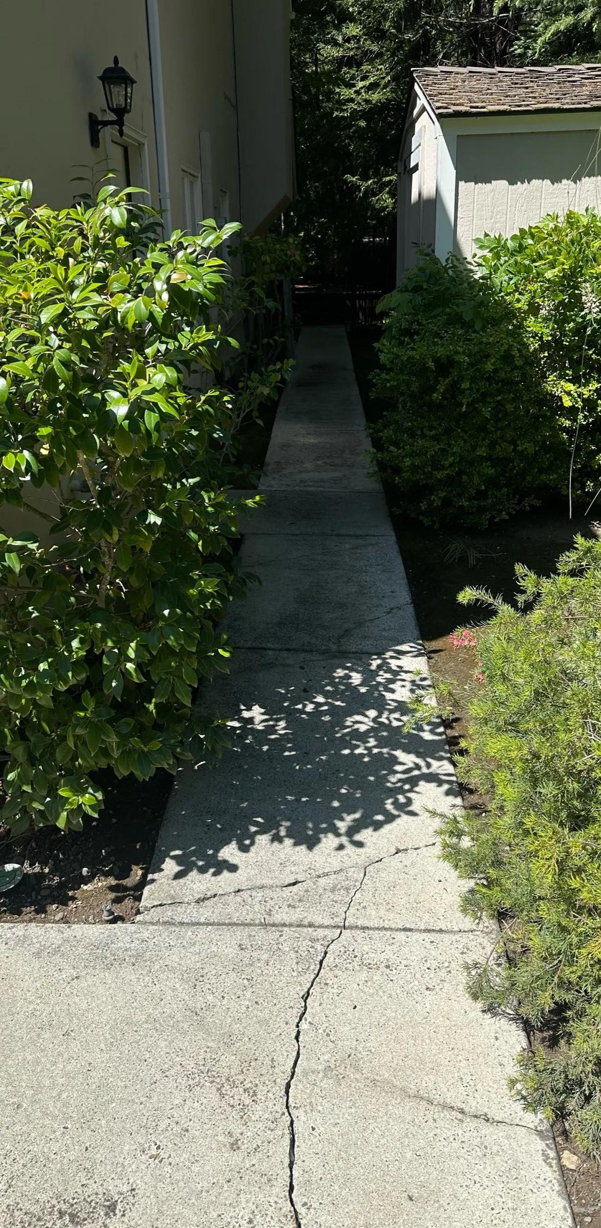 Concrete Walkway — after
