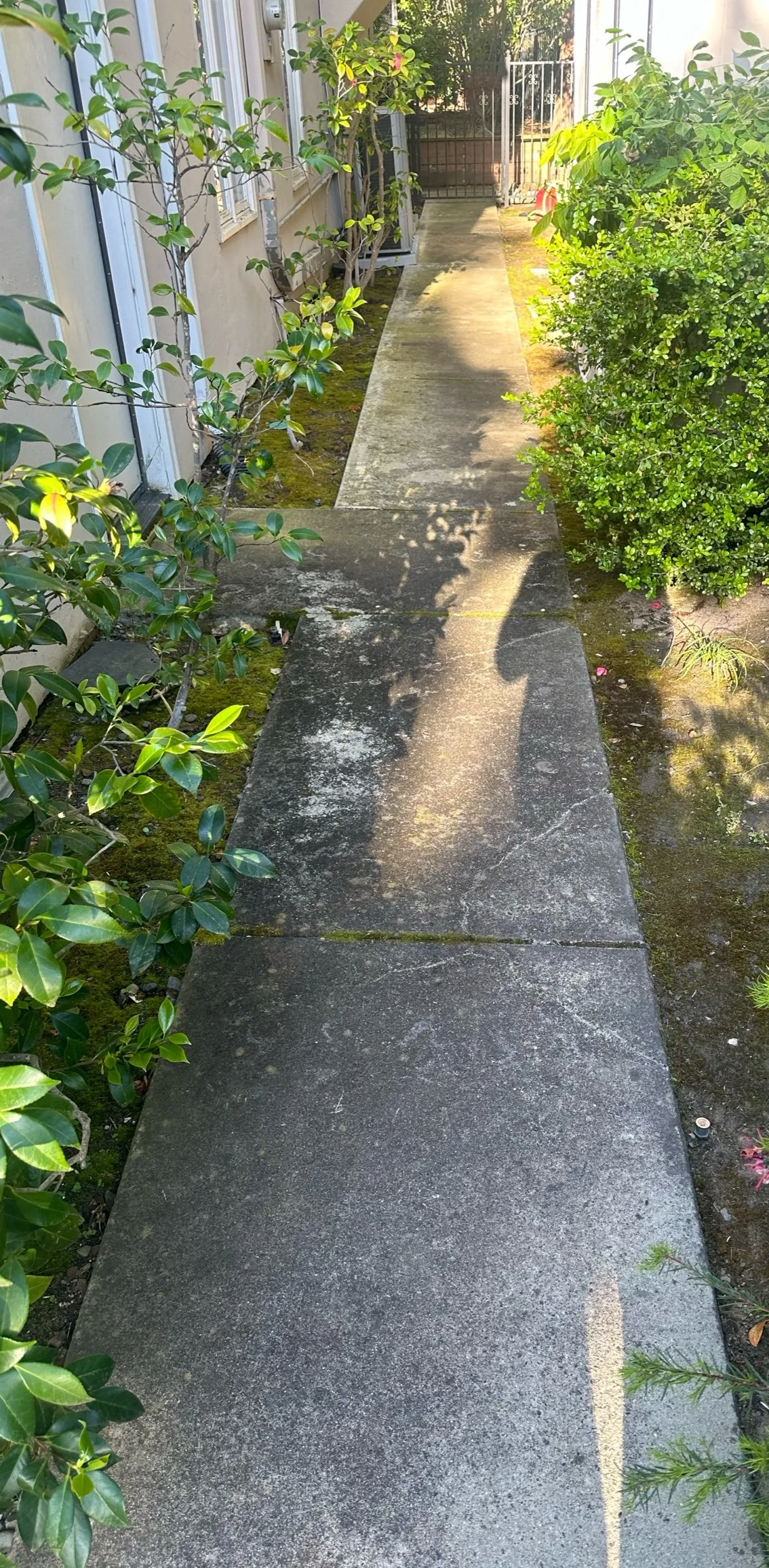 Concrete Walkway — before