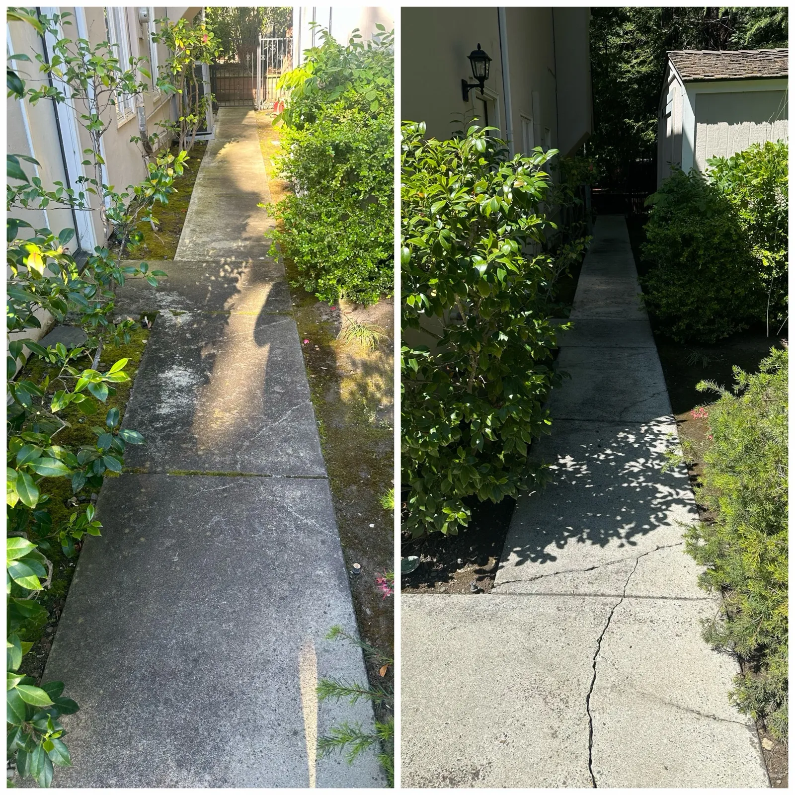 Concrete walkway