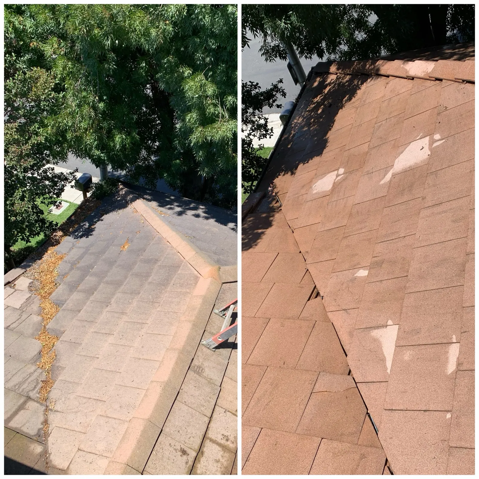 Flat tile roof