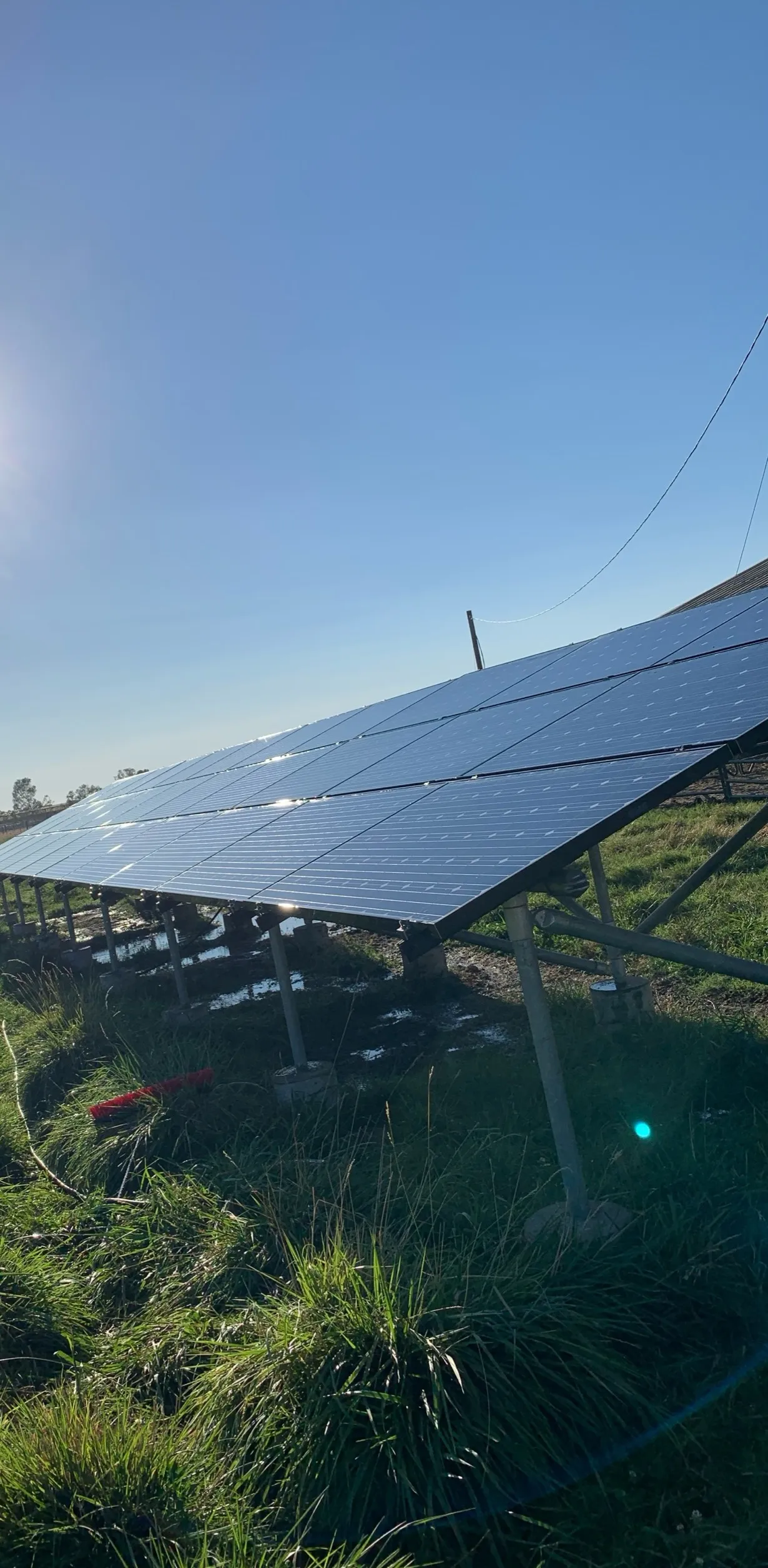 Ground Mount Array — after