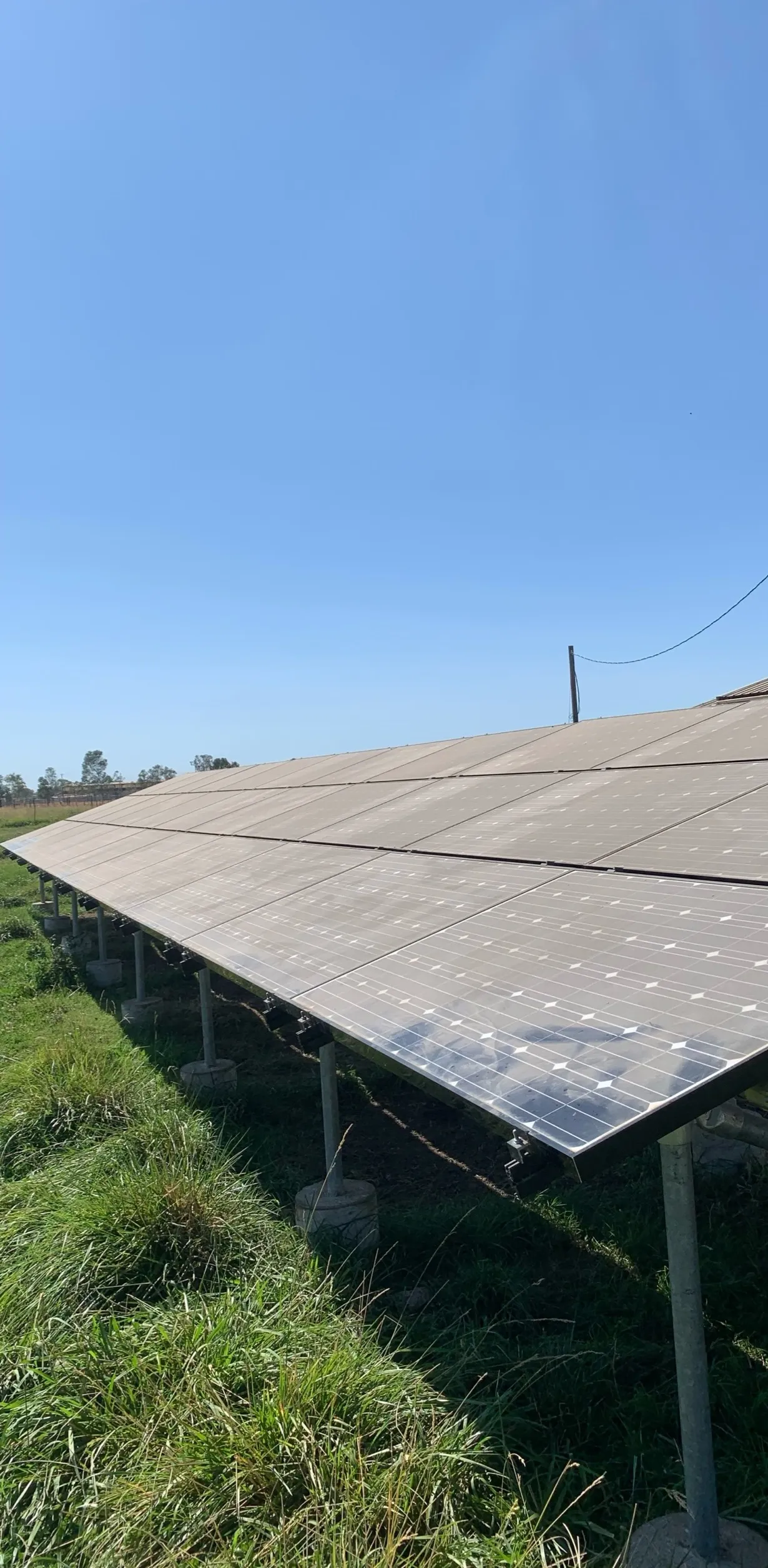 Ground Mount Array — before