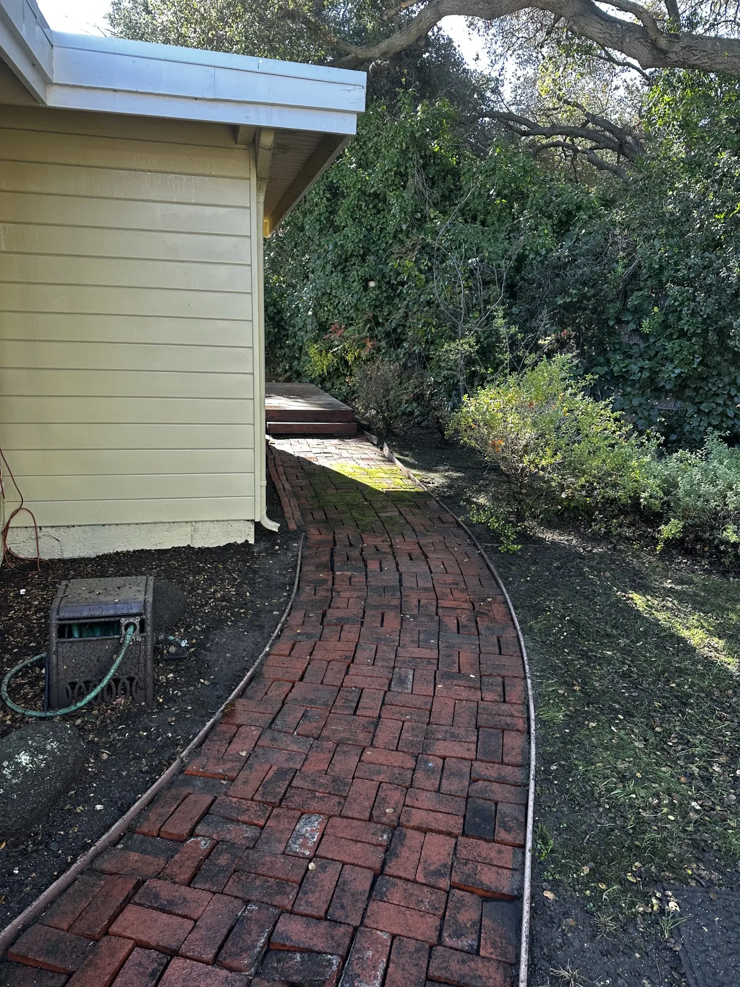 Brick path under moss — after