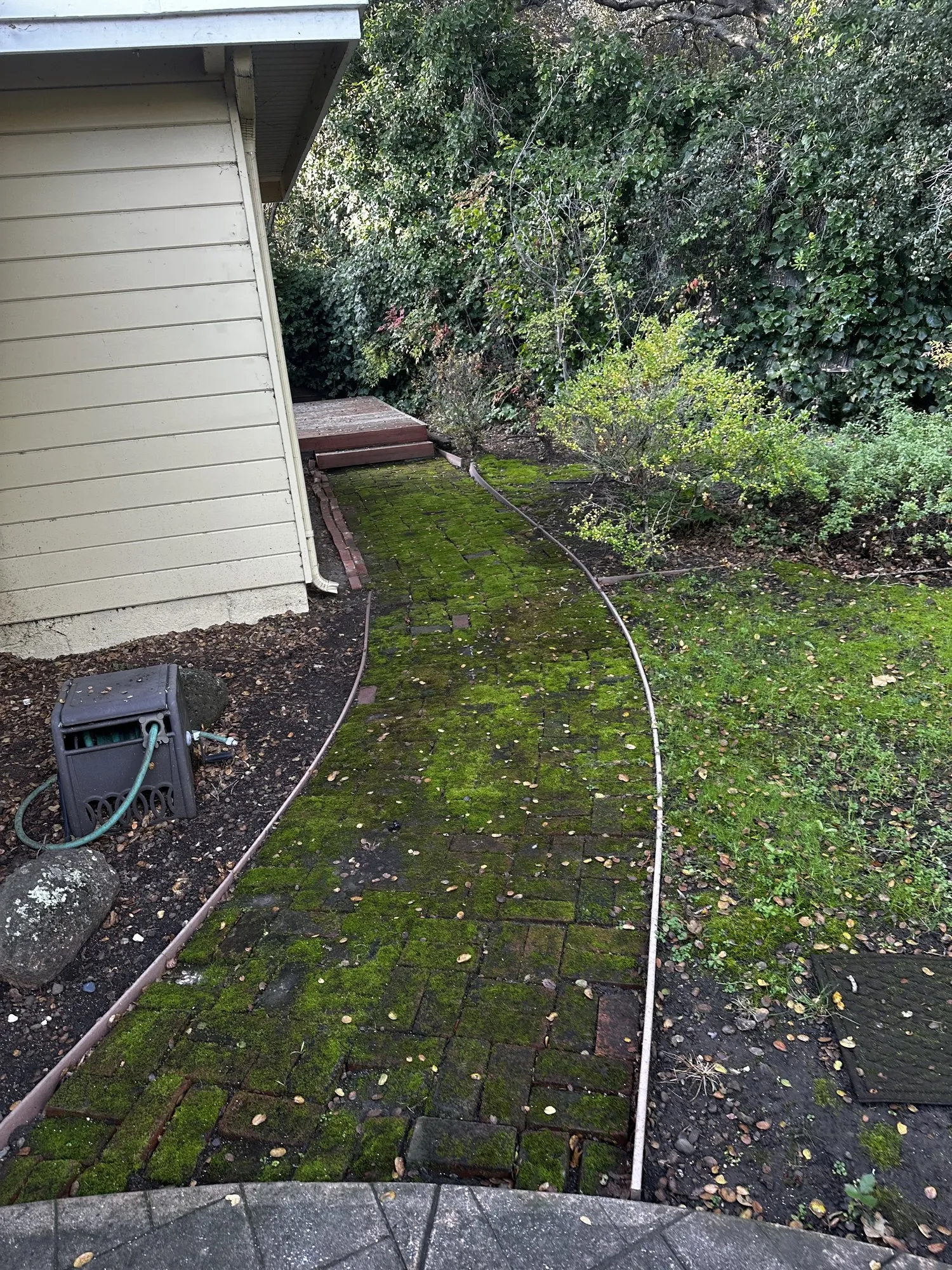 Brick path under moss — before