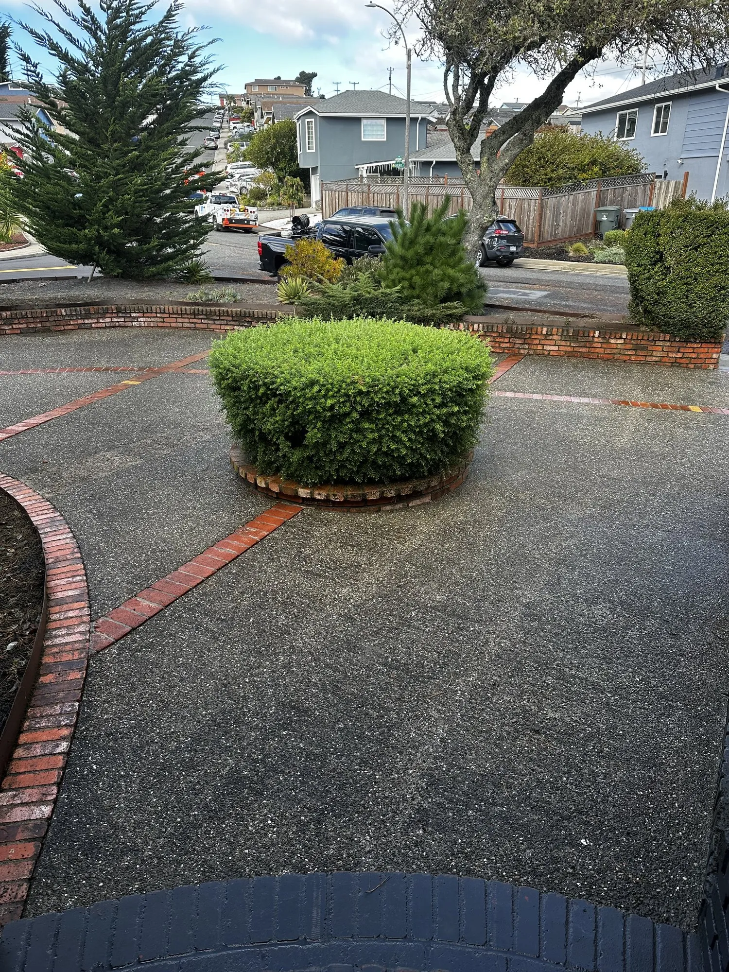 Moss over an aggregate driveway — after