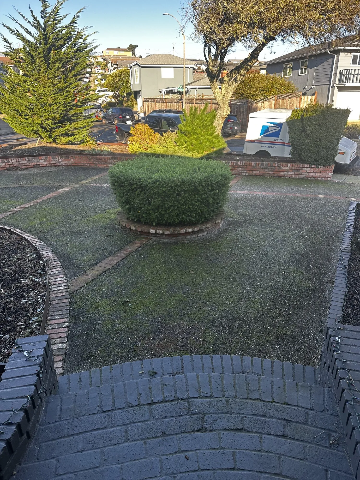Moss over an aggregate driveway — before