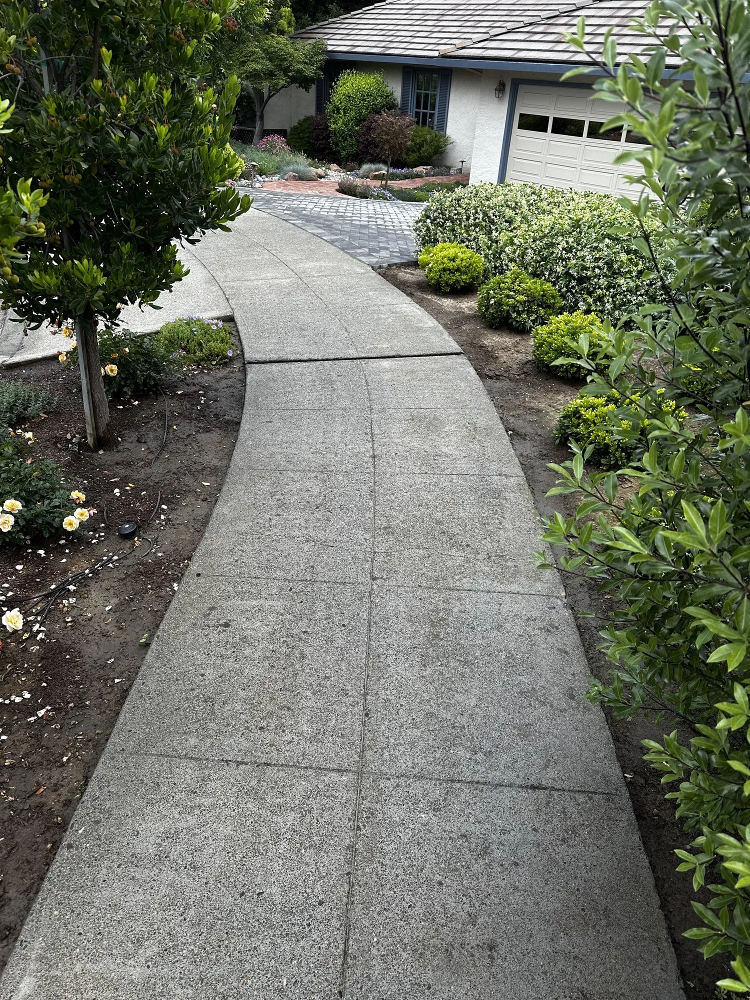 Stained front walkway — after