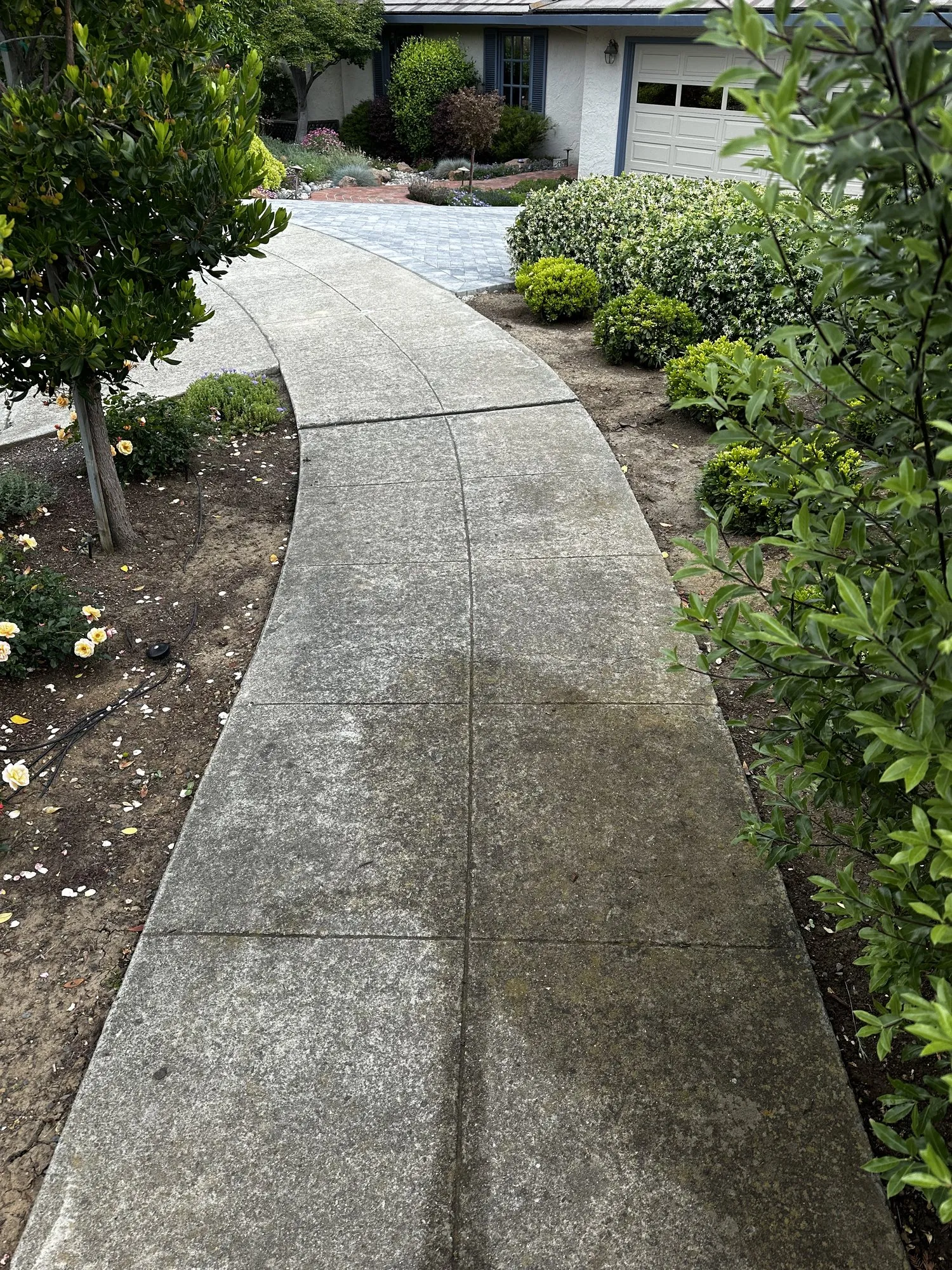 Stained front walkway — before