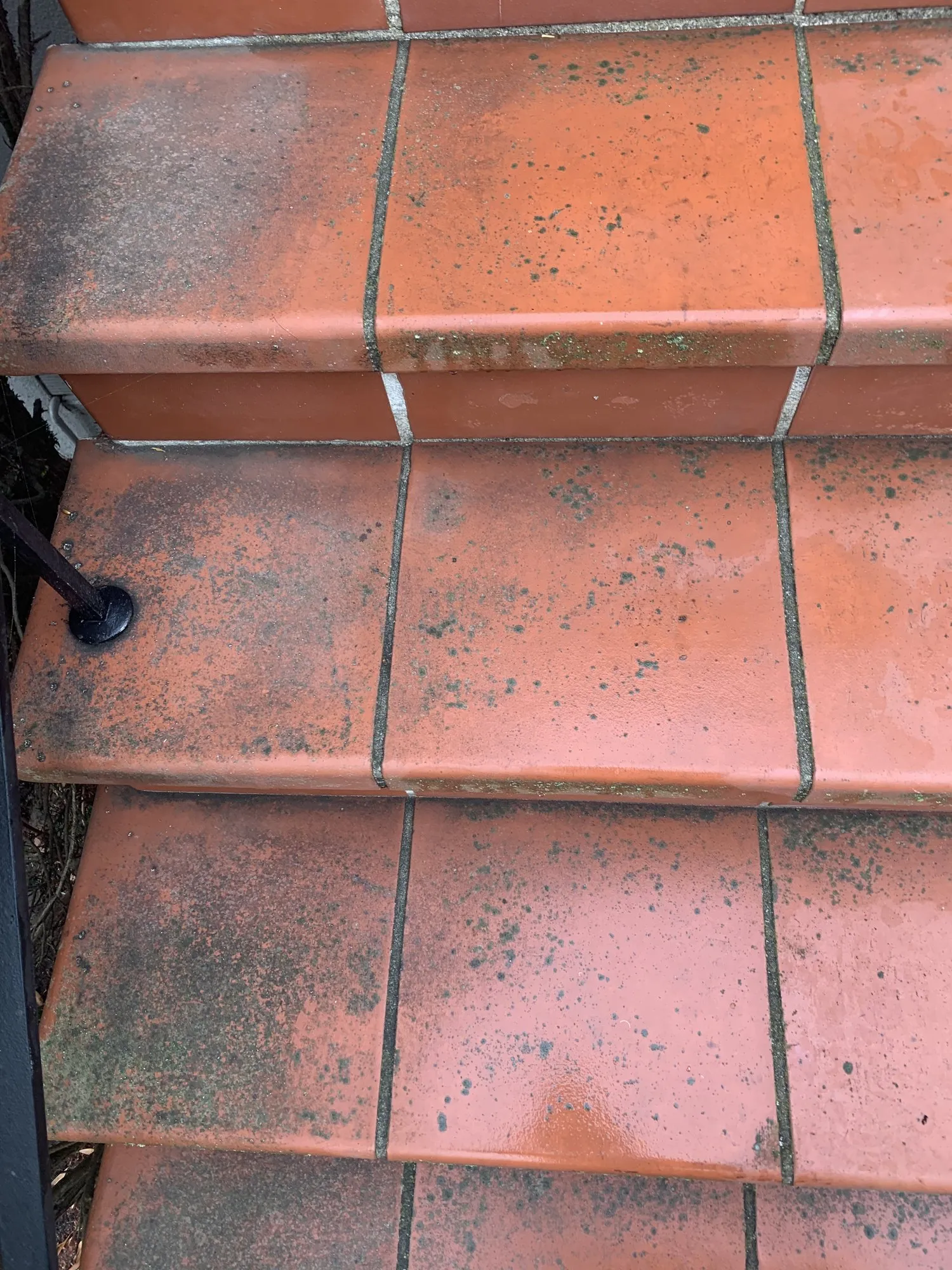 Tile steps and grout — before